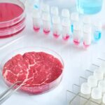 cibi sintetici carne sintetica